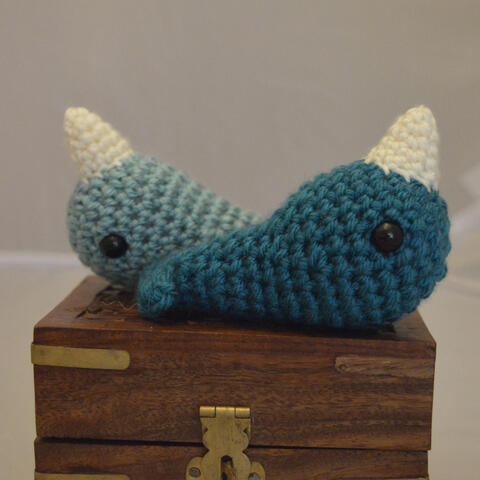 Narwhal